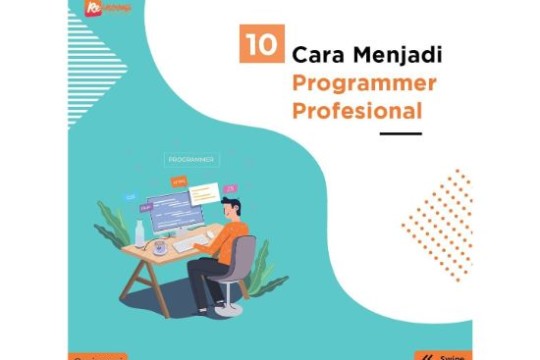10 Cara Menjadi Programmer Profesional