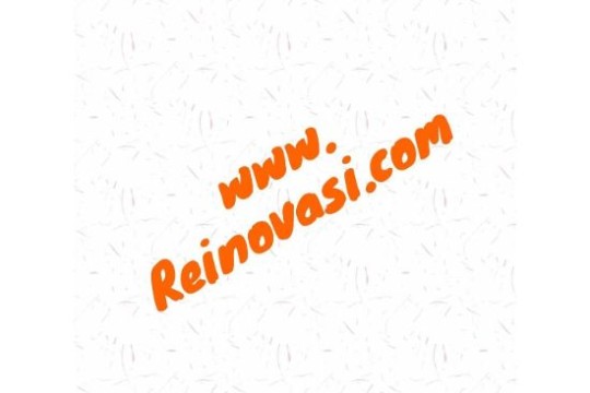 www.reinovasi.com
